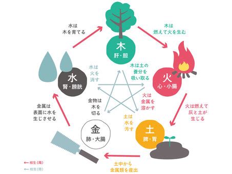 精油五行屬性|五行精油與八字風水